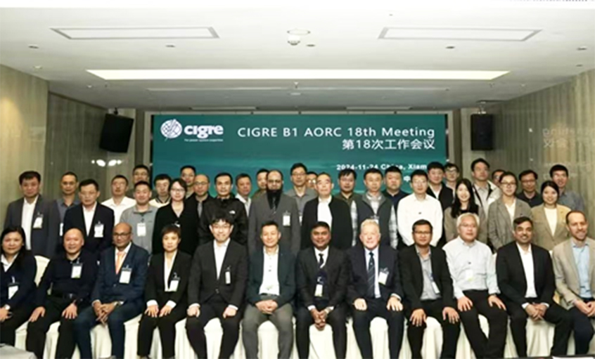 上上電纜受邀出席CIGRE絕緣電纜專(zhuān)委會(huì)亞太區(qū)第18次年會(huì)并做專(zhuān)題發(fā)言